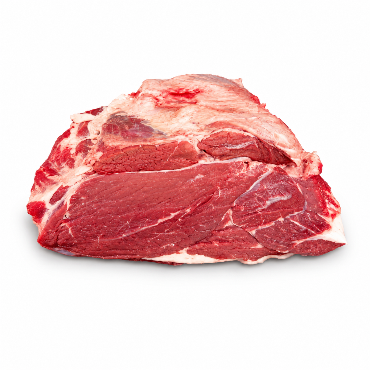 Palettina (suora di bovino)